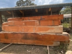 Kinh doanh nhập khẩu, chế biến gỗ